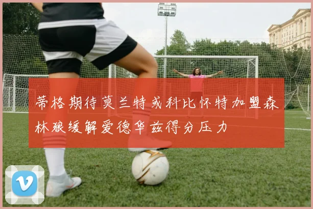 蒂格期待莫兰特或科比怀特加盟森林狼缓解爱德华兹得分压力