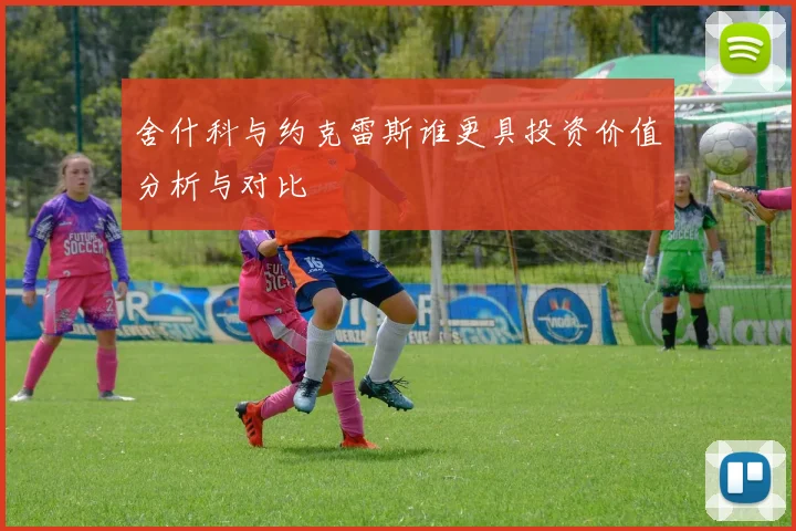 舍什科与约克雷斯谁更具投资价值分析与对比
